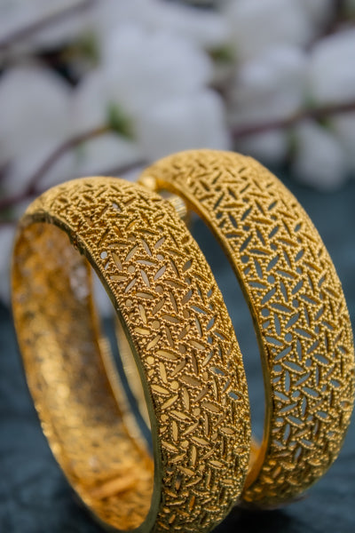 Nakshi Gold Plated Ethnic Kada Type Bangles | NarNari | NNBa19